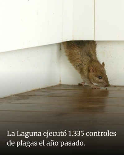 72aa5434cd2a.png