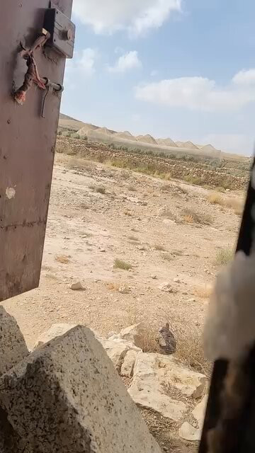 7UE3eQIOBo2hEmFH.jpg