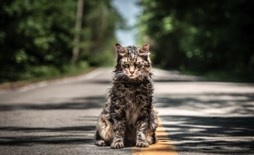 Screenshot 2026 02 04 at 21.48.39.png