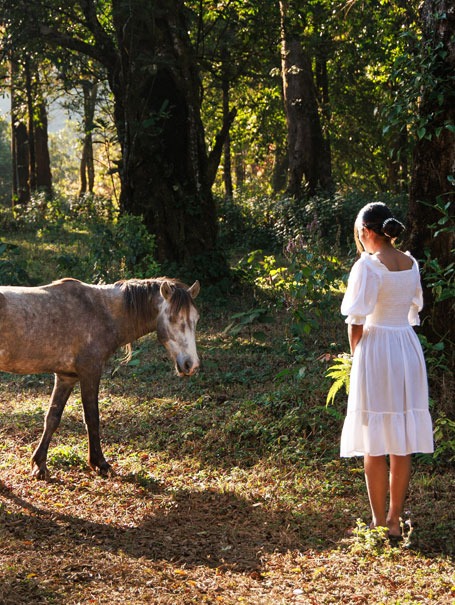 Jungle Resort In Wayanad | Jungleparkresort.com.jpg