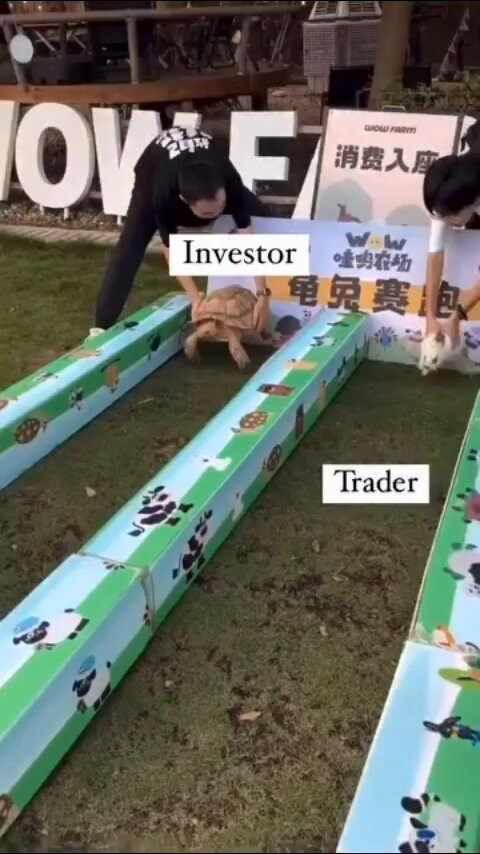 apj5qaJI E2Jm0x8.jpg