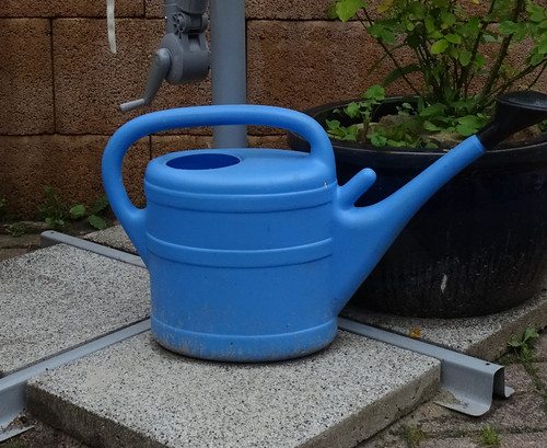 DSC01179