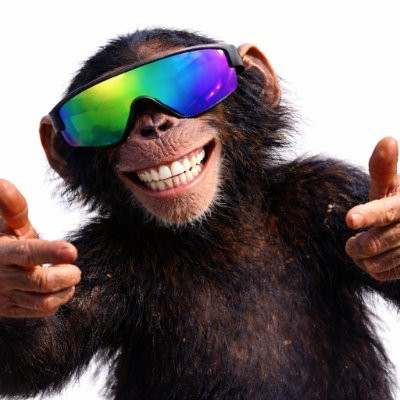 df6d32b9b0f4.jpg