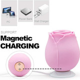 4 51a0fLNYSjL. AC SL1010 