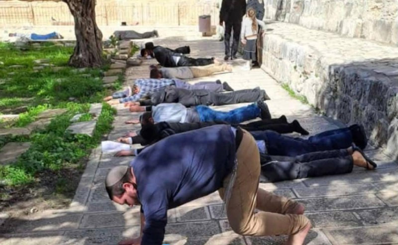 صورة| تدنيس واستباحة علنية، مستوطنون يدخلون أوراقًا تحمل صلوات يهودية ويؤدّون سجودًا ملحميًا خلال اقتحامهم المسجد الأقصى...