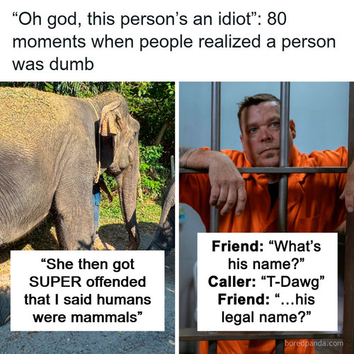 funny stupid people.jpg