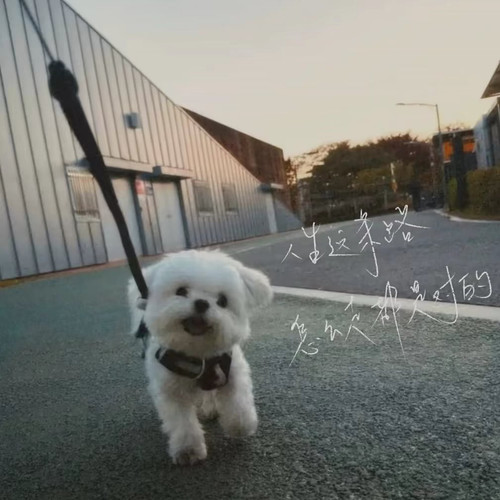 image download 1770027187748.jpg