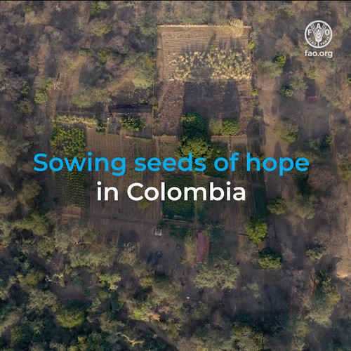 8eBBH4lCv PiYOBj.jpg