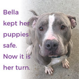 Bella story 200x200.jpg