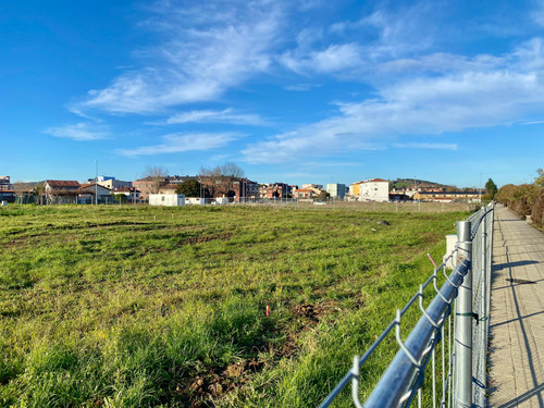 WhatsApp Image 2026 02 04 at 19.49.25 (1).jpg