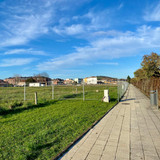 WhatsApp Image 2026 02 04 at 19.49.25