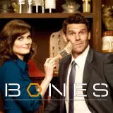 BONES6