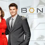 BONES8