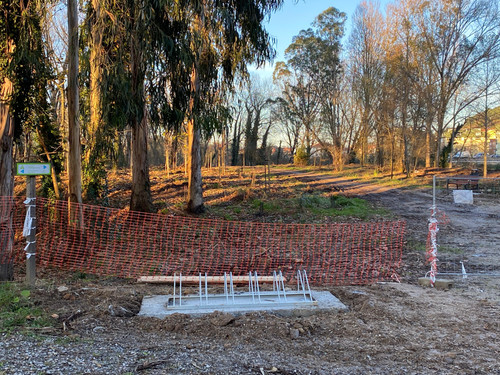 WhatsApp Image 2026 02 04 at 19.49.27 (1).jpg