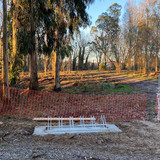 WhatsApp Image 2026 02 04 at 19.49.27 (1)