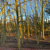 WhatsApp Image 2026 02 04 at 19.49.27 (7)