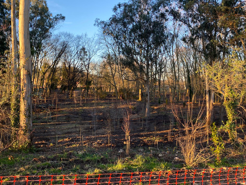 WhatsApp Image 2026 02 04 at 19.49.27 (6).jpg