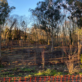 WhatsApp Image 2026 02 04 at 19.49.27 (6)