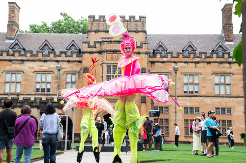 USYD Community Festival.jpg