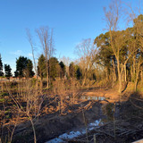 WhatsApp Image 2026 02 04 at 19.49.27 (5)