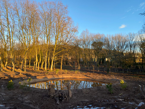 WhatsApp Image 2026 02 04 at 19.49.28 (1).jpg