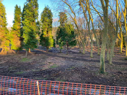 WhatsApp Image 2026 02 04 at 19.49.28.jpg