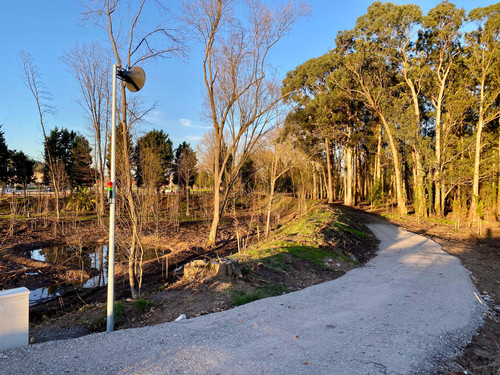 WhatsApp Image 2026 02 04 at 19.49.28 (4).jpg