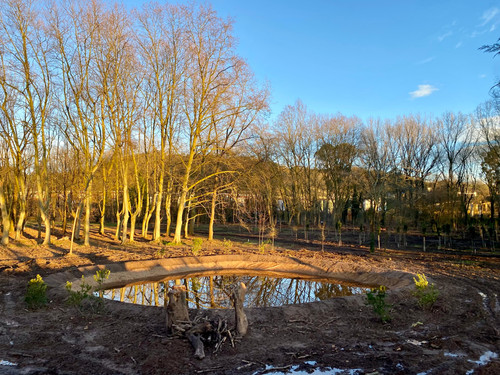 WhatsApp Image 2026 02 04 at 19.49.29 (1).jpg