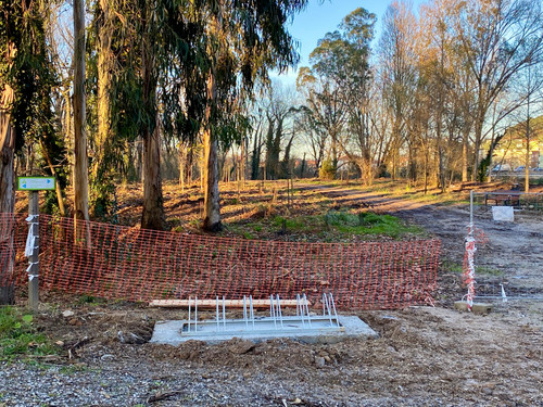 WhatsApp Image 2026 02 04 at 19.49.28 (2).jpg