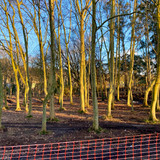 WhatsApp Image 2026 02 04 at 19.49.28 (5)