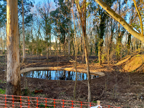 WhatsApp Image 2026 02 04 at 19.49.28 (3).jpg