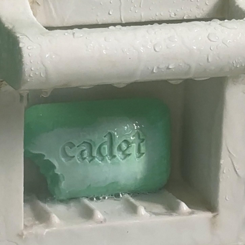 0e42fda071df.png