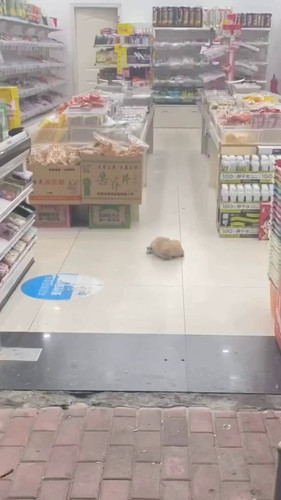 KLlRwVkKri n3vwN.jpg