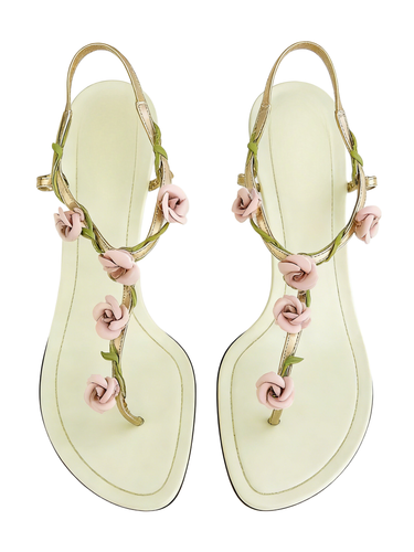 根据鞋子生成产品图 (2).png