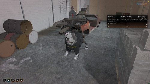 FiveM b3570 GTAProcess 40E8teszqB.jpg