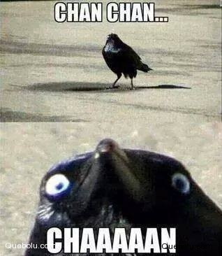 chan chan chaaan.jpg