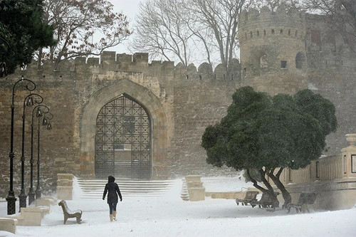 628445339 909128008179239 754776662844083537 n.jpg? nc cat=105&ccb=1 7& nc sid=127cfc& nc ohc=TJHMqJ.jpg