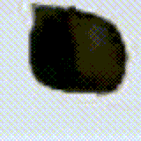 C9CF413A8645827713CE6AD55C4002A5.gif