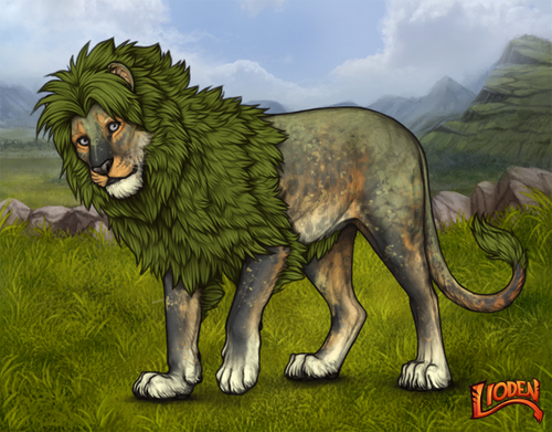 lioden wardrobe 2026 02 05T125937.162.png