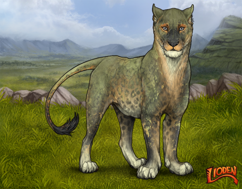 lioden wardrobe 2026 02 05T130046.491.png