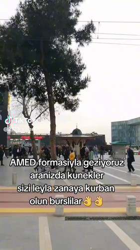 Zf WMGNNUNXB60vH.jpg