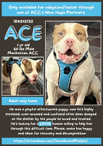 G8dZyEnWcAAIW r?format=jpg.jpg