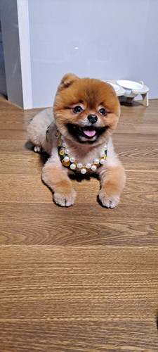 KakaoTalk 20251212 092628935 22.jpg