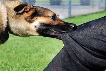 Bx7r5qb76fujbJeSEFmZTuEojp6Gg AIGkLRLpSqeiQO98xWynBku0Qv34 vU0QK3arJ6lik2vsJWesa2SQrwDwjlpgnh5wiw1YV.jpg