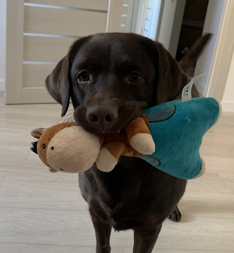 user 1540E899 1EA4 4B6C B5AD 448A39317D36.jpg