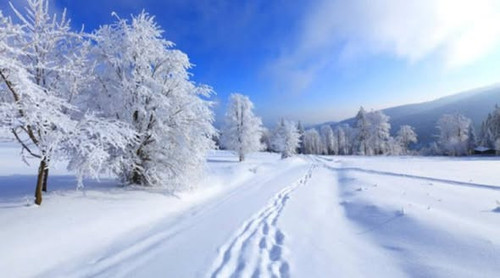 602367481 1454186883376898 8969357056912699706 n.jpg?stp=dst jpg s590x590 tt6& nc cat=100&ccb=1 7& n.jpg