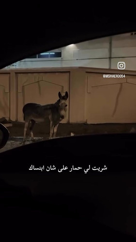 X409TxWXvZSY7 W .jpg