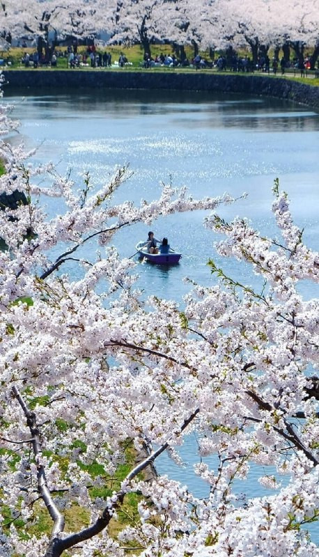 oCqVz2QUEL77eH39NinIb1geJmGukLyiFK0ah9h2WkQHILe82K3UENkIQ68s6EJECSwsWrXTWoXI b 89 RRIPHjmoesmNsIJ Lm.jpg