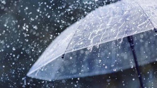 603940450 1454186650043588 4016241905363877554 n.jpg?stp=dst jpg s590x590 tt6& nc cat=107&ccb=1 7& n.jpg