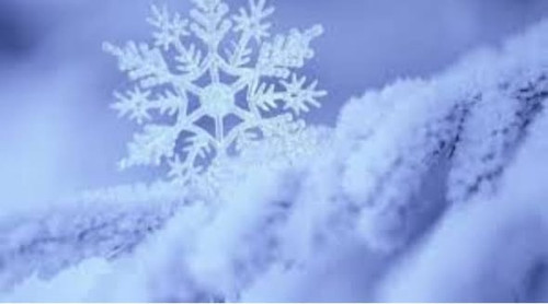 603073798 1454186696710250 5765299497387493045 n.jpg?stp=dst jpg s590x590 tt6& nc cat=102&ccb=1 7& n.jpg